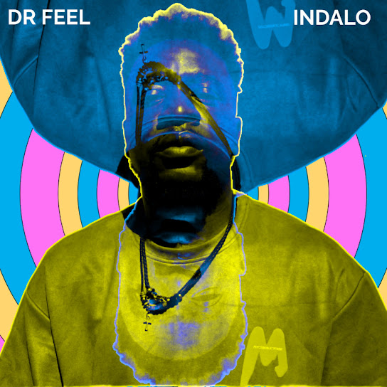 Dr Feel - Fool For You